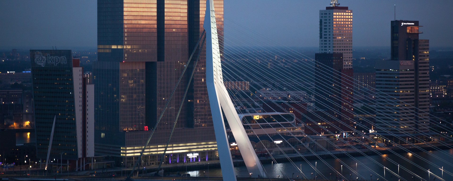 Digital Strategist The Netherlands