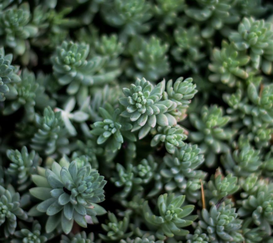 Global Digital Strategy