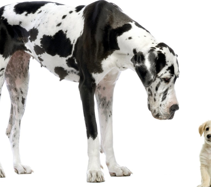 Interviewing for a Strategic Role